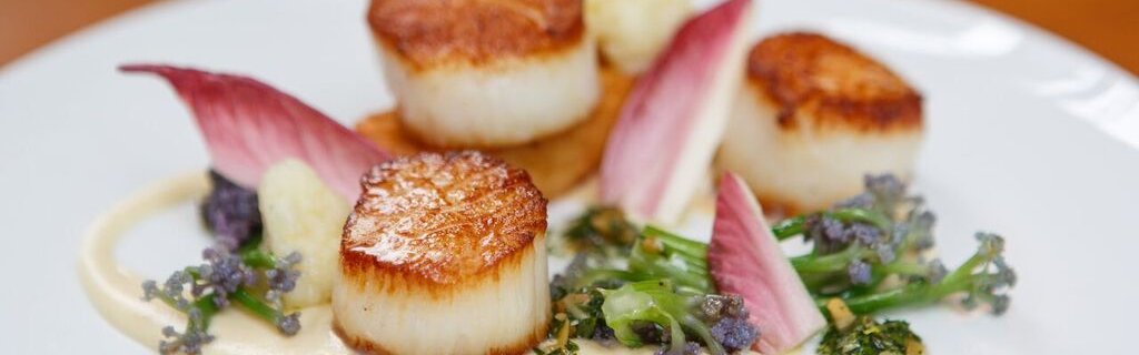 Seared Sea Scallops on a plate